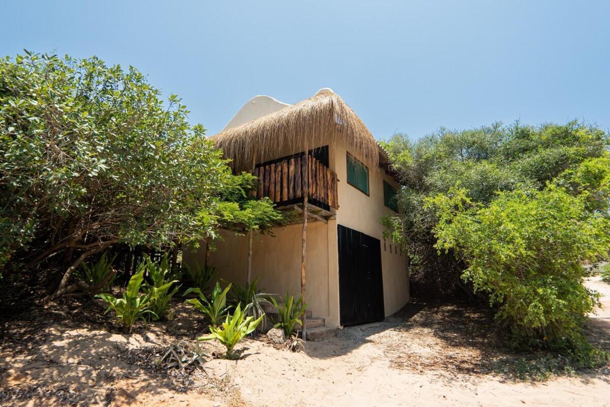 Tree House Cottage, Garden Views, Hot Water Praia do Praia do Tofo Exteriér fotografie